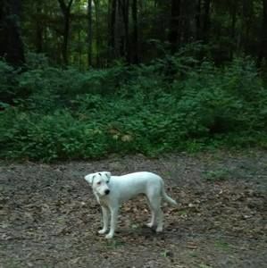 Meet your Posher, Kenneth